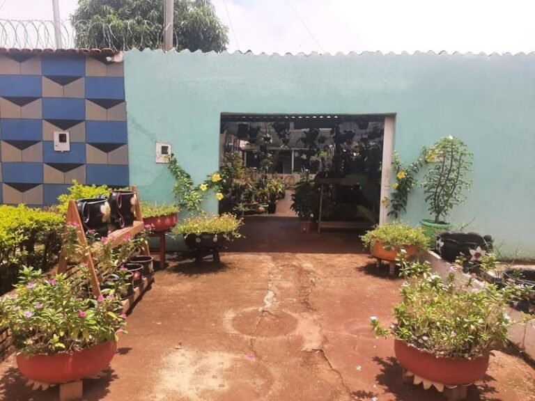 Imagem do WhatsApp de 2025-01-30 à(s) 15.57.12_4082af3b