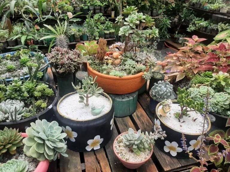 Imagem do WhatsApp de 2025-01-30 à(s) 15.57.13_078a80b0