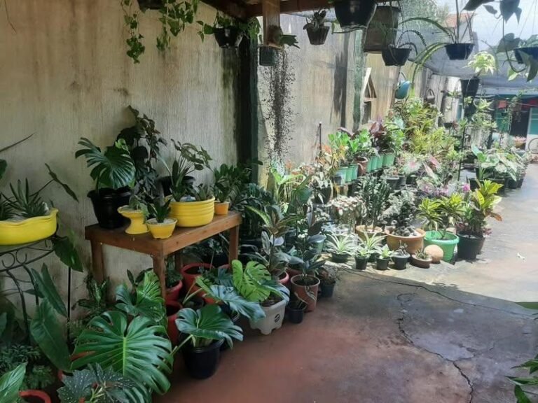 Imagem do WhatsApp de 2025-01-30 à(s) 15.57.14_0094a56d