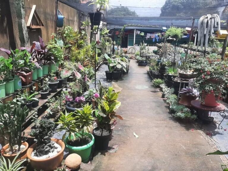 Imagem do WhatsApp de 2025-01-30 à(s) 15.57.14_3d891a3d